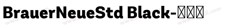 BrauerNeueStd Black字体转换